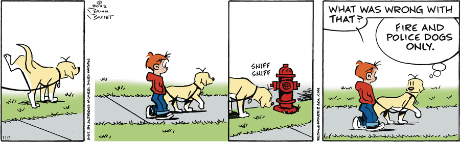 Today's Red & Rover is missing.